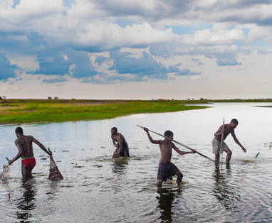 Vissen in Liuwa Plain