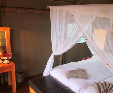 SURICATE_TENT_INSIDE