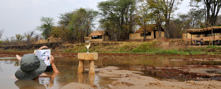 afkoelen in luangwa rivier