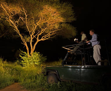 ikoma_TC_nachtsafari