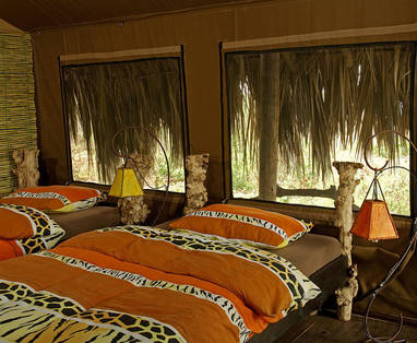 klein-crater_forest_TC_7