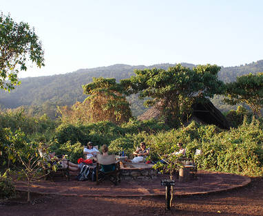 klein-crater_forest_TC_9