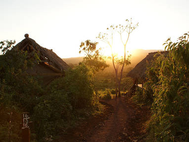 klein-crater_forest_TC_12