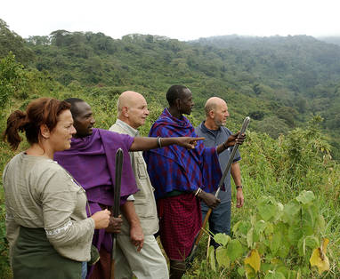 klein-crater_forest_TC_13
