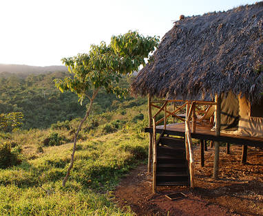 klein-crater_forest_TC_14