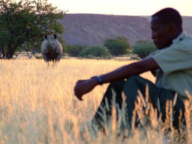black_rhino_damaraland