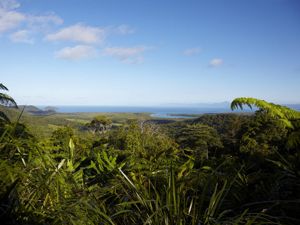 TA_-_QLD_Daintree_NP_Mt_Alexandra_Lookout