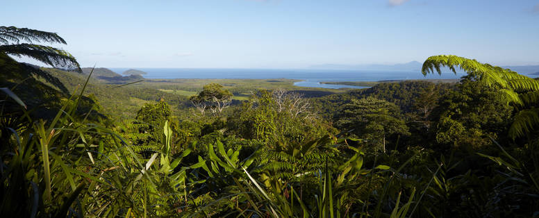 TA_-_QLD_Daintree_NP_Mt_Alexandra_Lookout