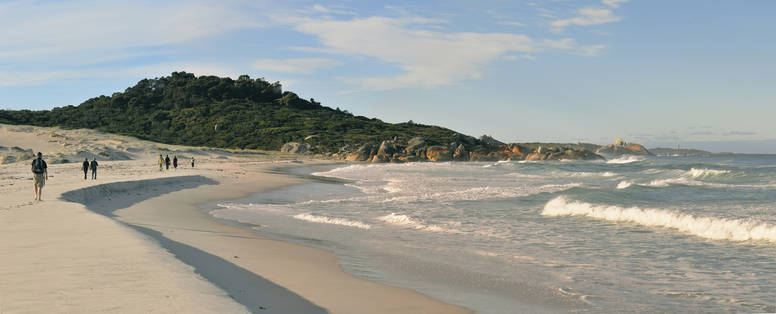 taswalking_bof_lodge_walk