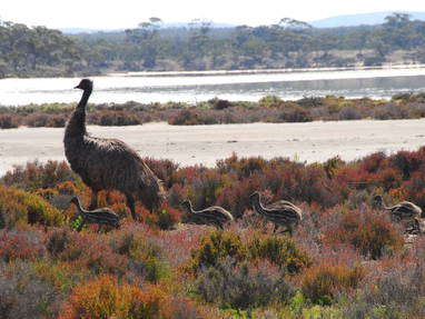 Ontdek Nieuw-Zeeland en Australië tijdens een luxe reis