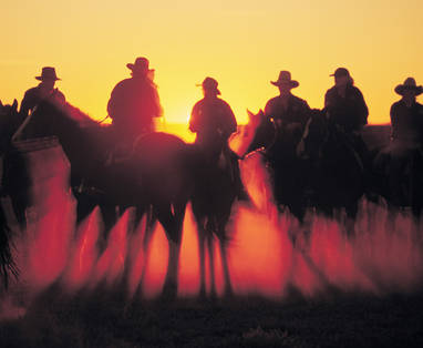 cowboys in de outback