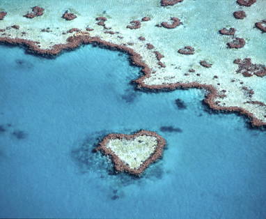 WSY_-_Heart_Reef_Natural