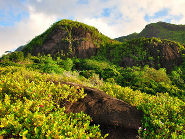 IMG2_Mountains_on_Anse_Major_Trail
