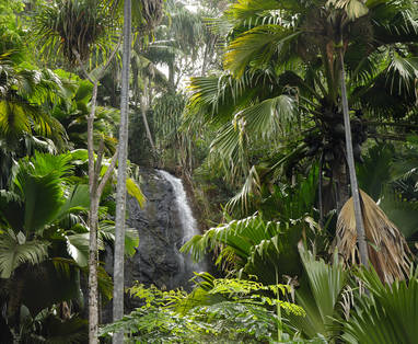 IMG12_Waterfall_Vallee_de_Mai
