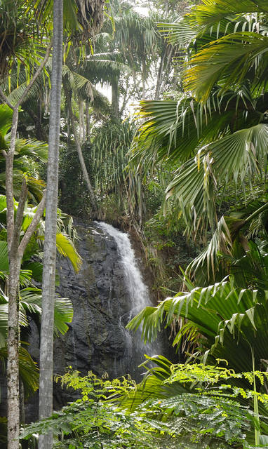 IMG12_Waterfall_Vallee_de_Mai
