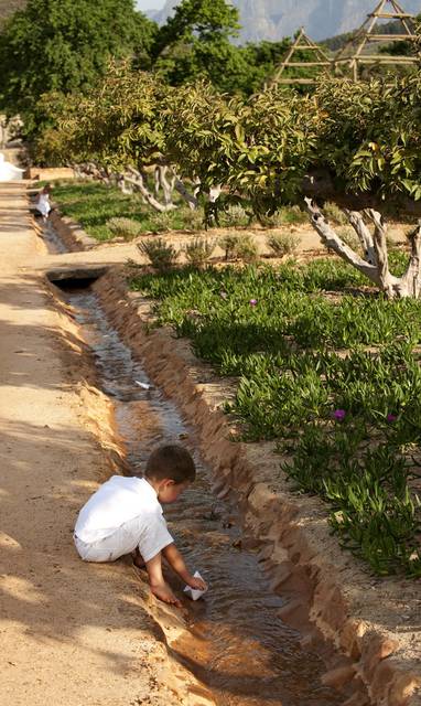 GARDEN_-_LAUNCHING_A_DREAM_IN_AN_IRRIGATION_RILL__WATER_FROM_BERG_RIVER