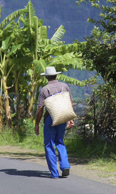 gramoune_cilaos_-_CREDIT_IRT_-_emmanuel_virin