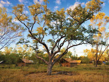 WA_APT_BunglesCamp03_GU