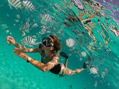 12141173_1162118637149845_946852175603420159_o