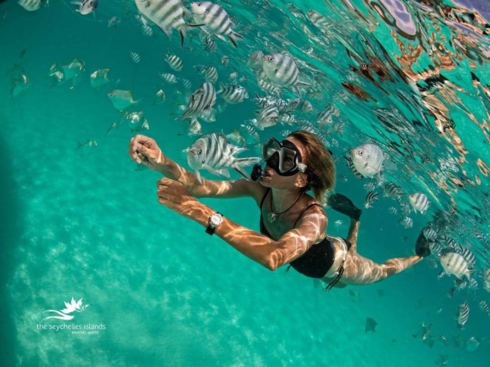 12141173_1162118637149845_946852175603420159_o