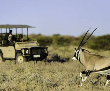 Botswana | Central Kalahari | Safari