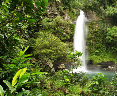 Taveuni_Waterfalls_238