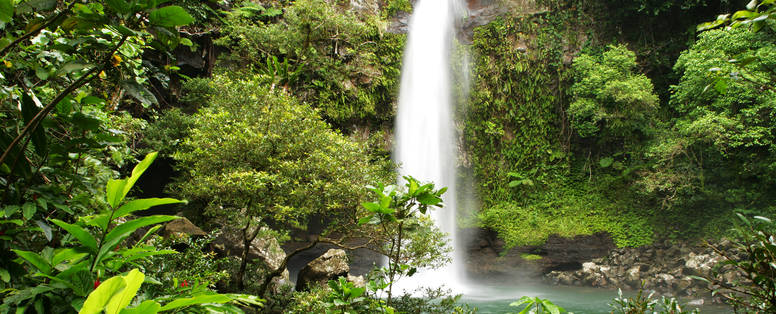 Taveuni_Waterfalls_238