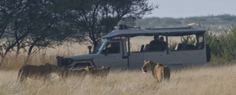 Botswana | Central Kalahari wildreservaat | Safari