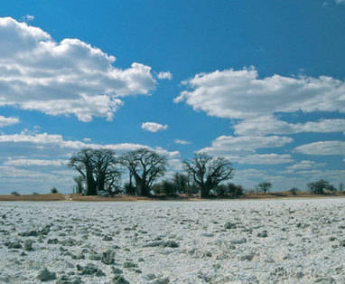 Botswana | Central Kalahari | Zoutpannen