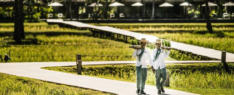 Tuinen met rijstvelden en obers bij Phum Baitang nabij Siem Reap