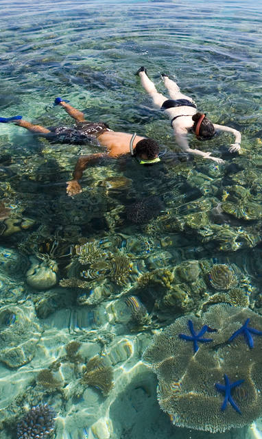 Nukubati_Snorkelling