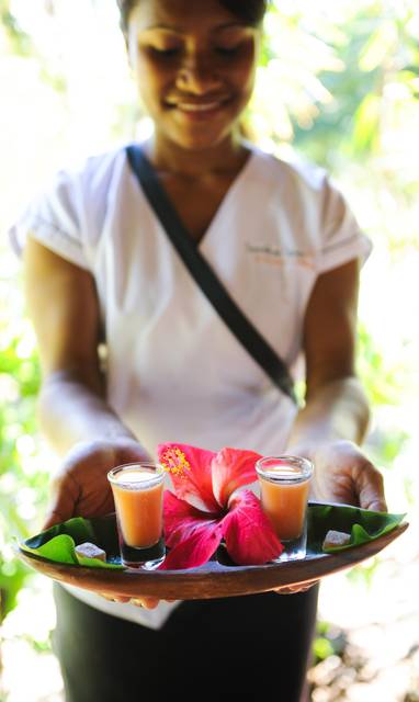 TOKM20A_Spa_Offering