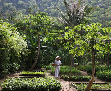 975x660_05_spa_organic_garden