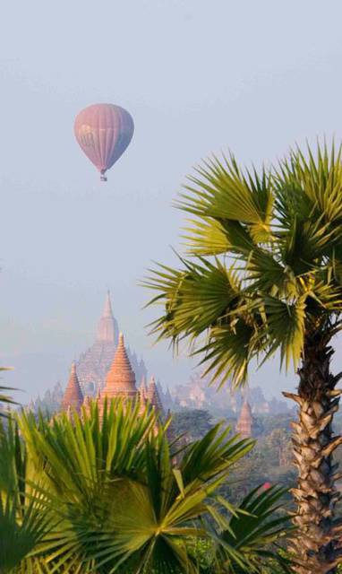 392150_311574512189385_444550_n