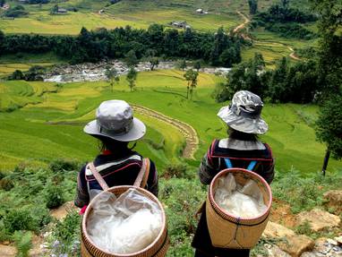 Twee Vietnamese lokale bewoners die kijken naar een groot rijstvelden en twee rieten rugzakken dragen.