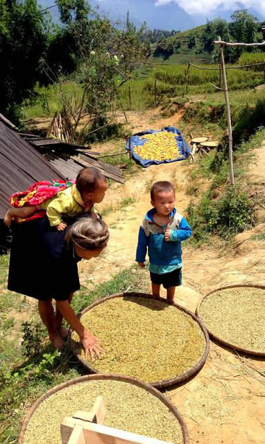 IMG_4362_Sapa_(Laura)