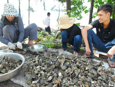 MB569_Lang_Co_Beach_oestervissers