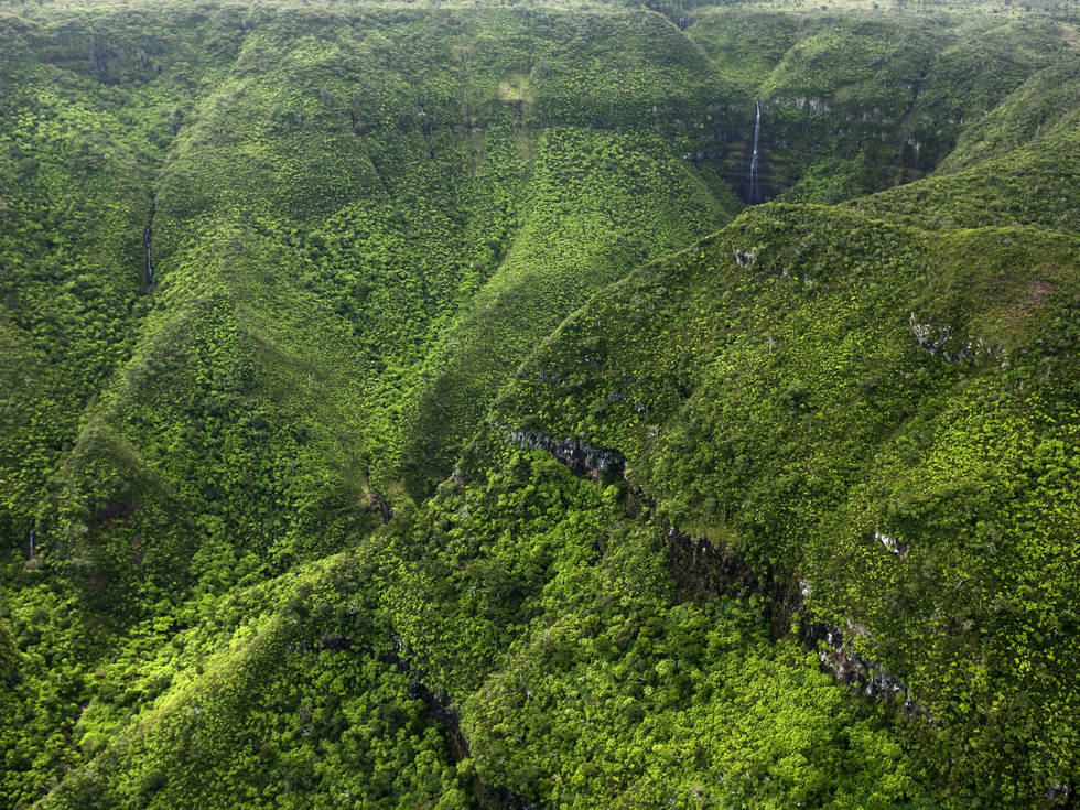 MTPA_134_Black_River_gorges_Z