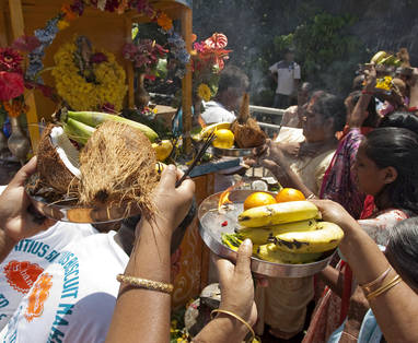 MTPA_142_Cavadee_tamil_festival