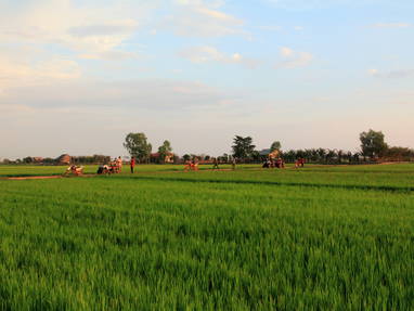 AA_IMG_1508_Quad_bik_in_country