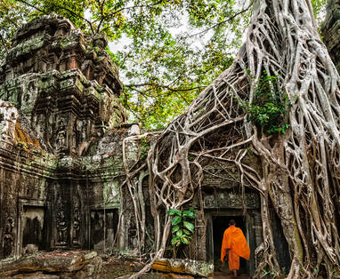 AA_Ta_Prohm_-_Monks_and_Tree_roots