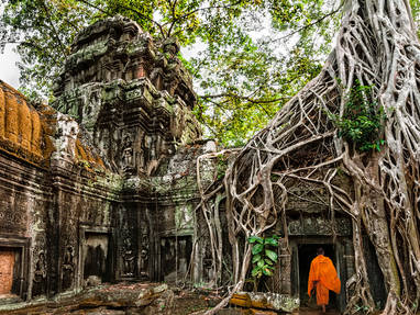 AA_Ta_Prohm_-_Monks_and_Tree_roots