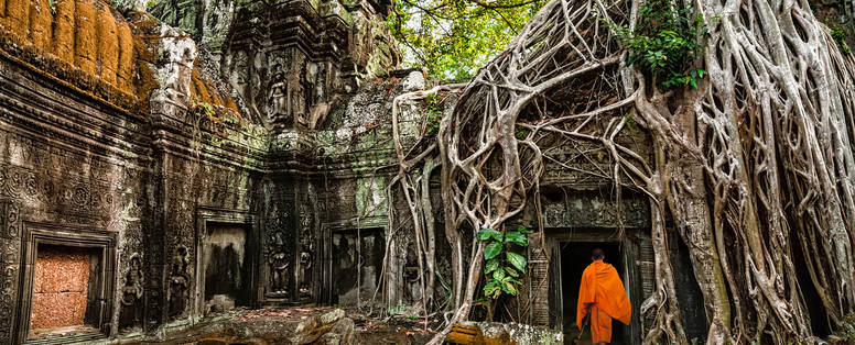 AA_Ta_Prohm_-_Monks_and_Tree_roots