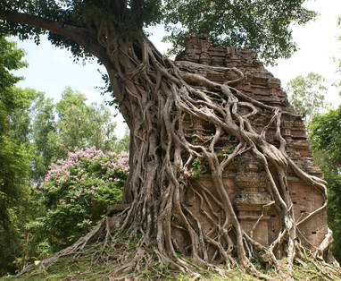 EXO_18_Sambor_Prei_Kuk_Temples_-_2