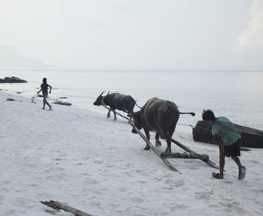 Song_Saa_children_with_buffalos_on_Koh_Rong_beach_8780