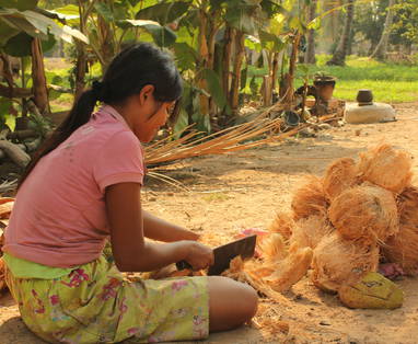 AA_village_-_coconuts