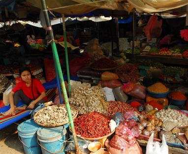 MB_DSC_0055_Luang_Prabang_markt