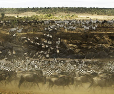 _Copyright_Beverly_Joubert_MaraExpeditionCamp_Landscape_Kenya_5355