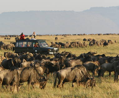 Een safari tijdens de grote wildebeest immigratie in Kenia