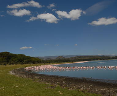 Lake Naivasha in kenia